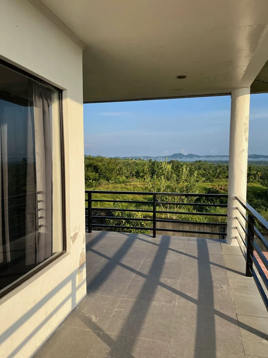 Property garden view